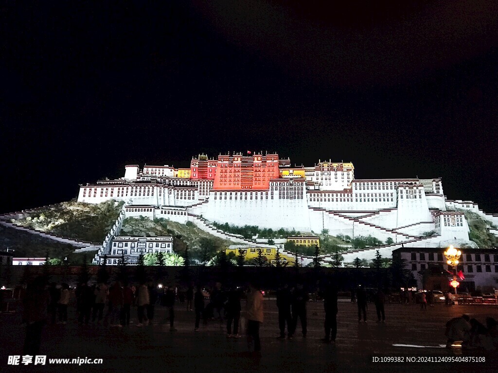 布达拉宫夜景
