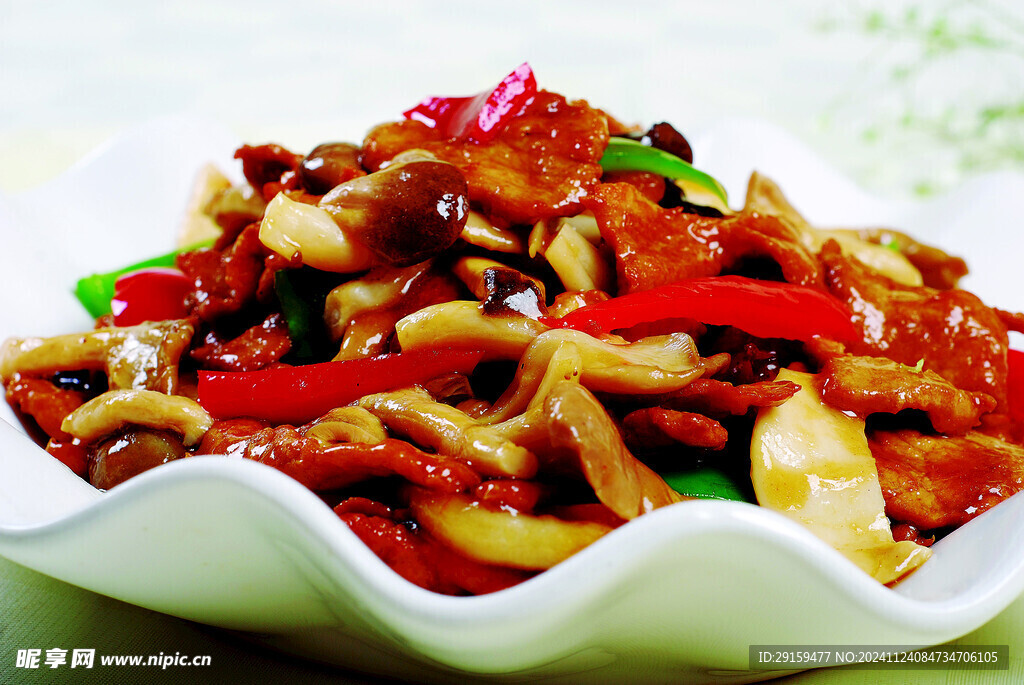 肉片三菌菇