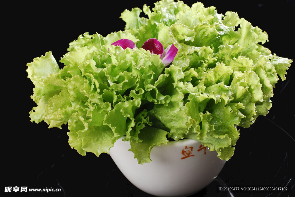 生菜