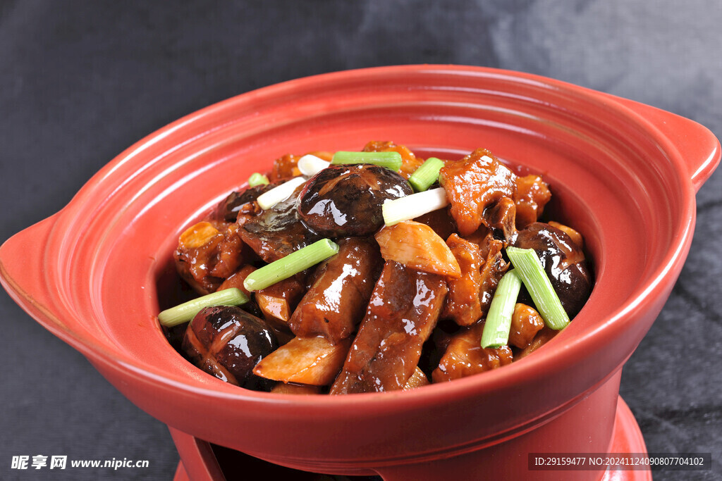 红烧鳄鱼肉