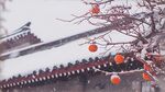 北京故宫雪景