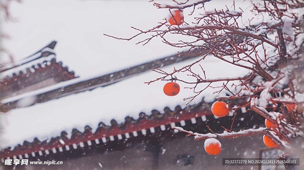 北京故宫雪景