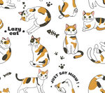 小猫