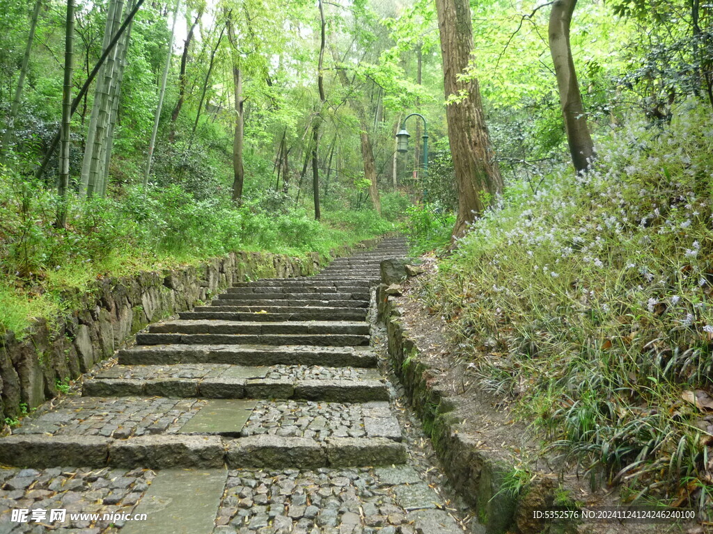 雨中山林