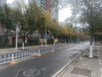 园林道路