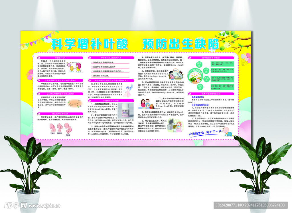 科学增补叶酸 预防出生缺陷