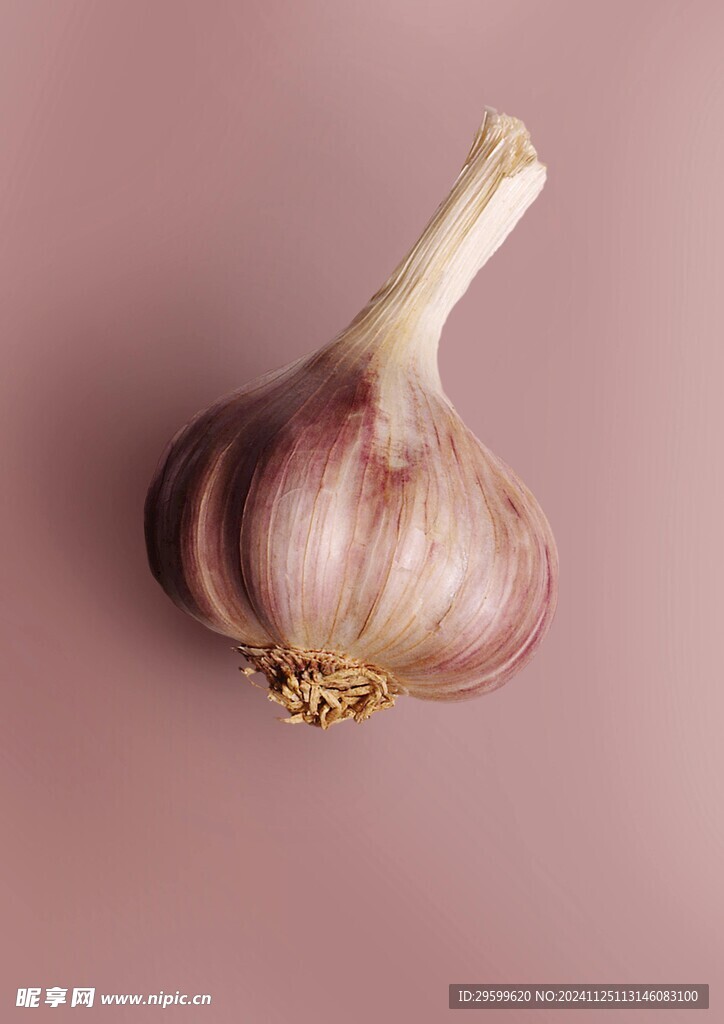 大蒜  