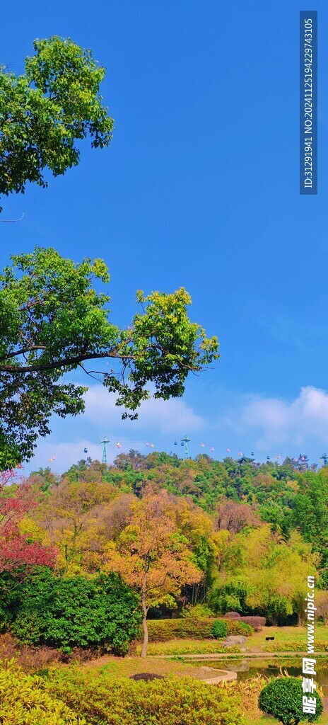 远山风景
