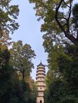 灵谷塔