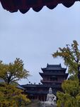 毗卢寺