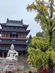 毗卢寺