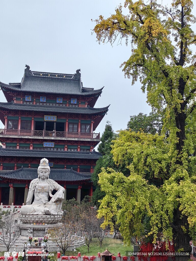 毗卢寺