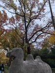 石像