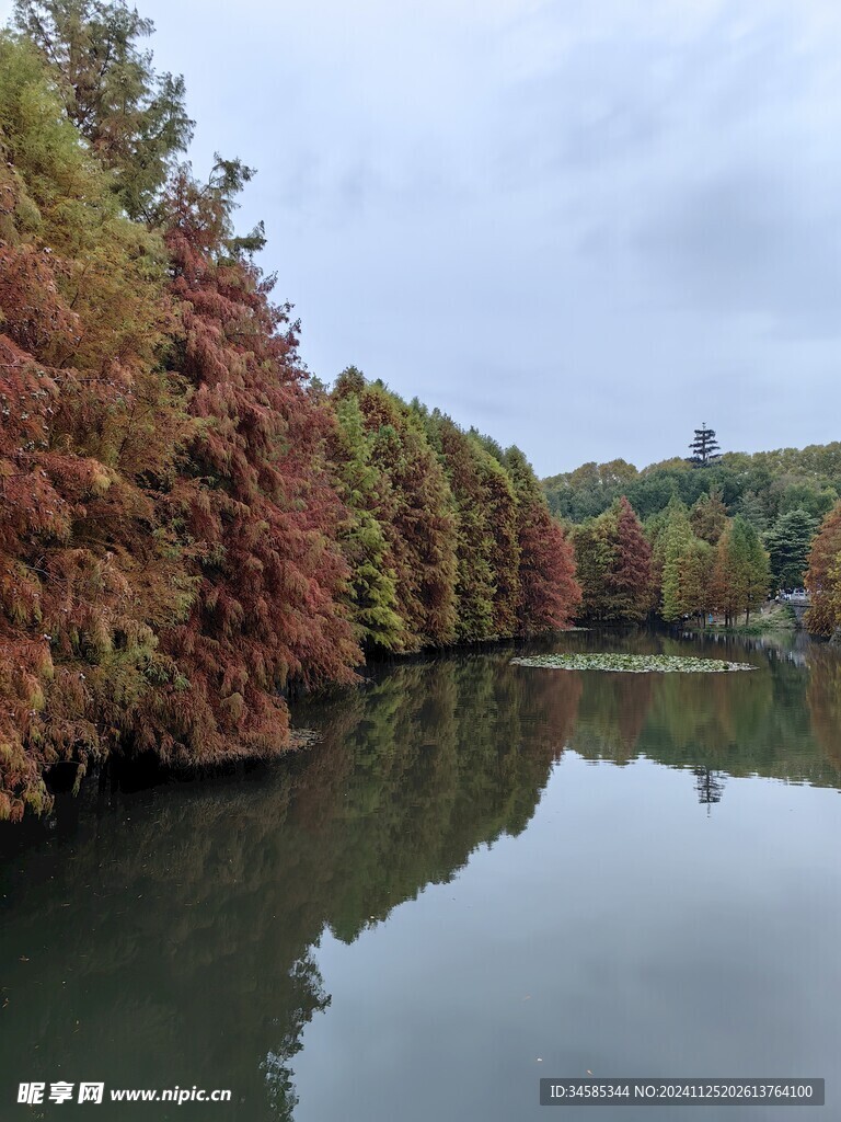 燕雀湖