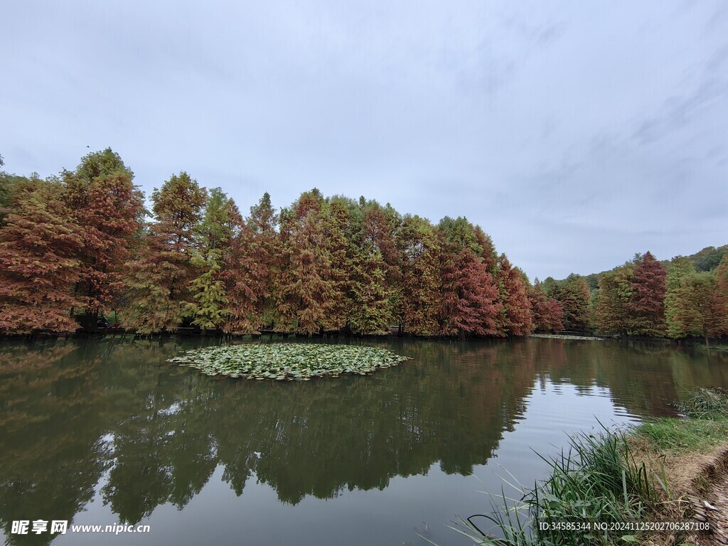 燕雀湖