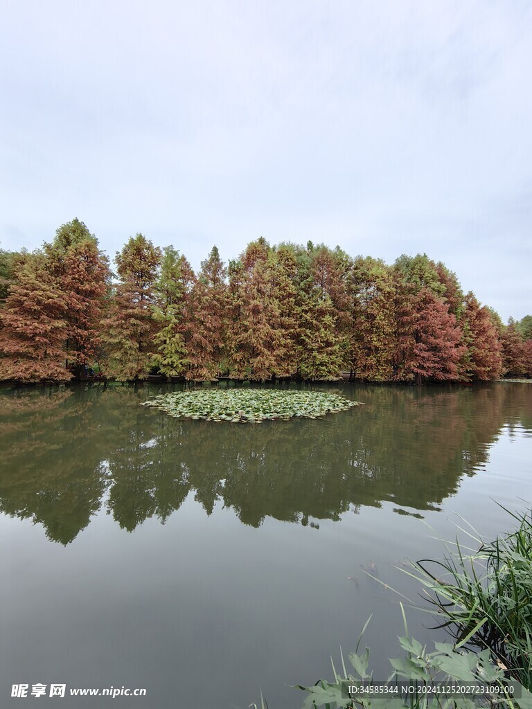 燕雀湖