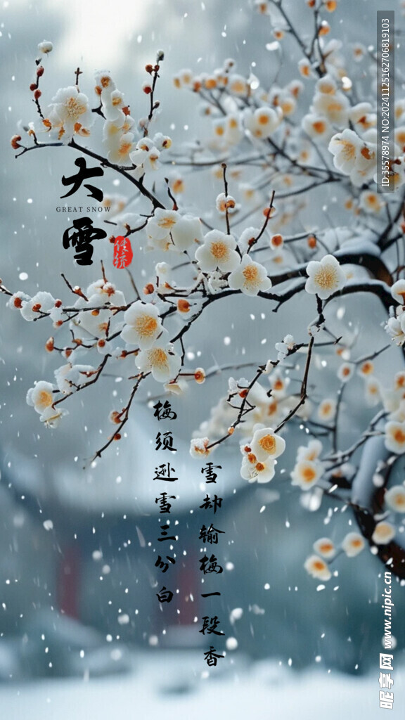 梅须逊雪三分白 雪却输梅一段香