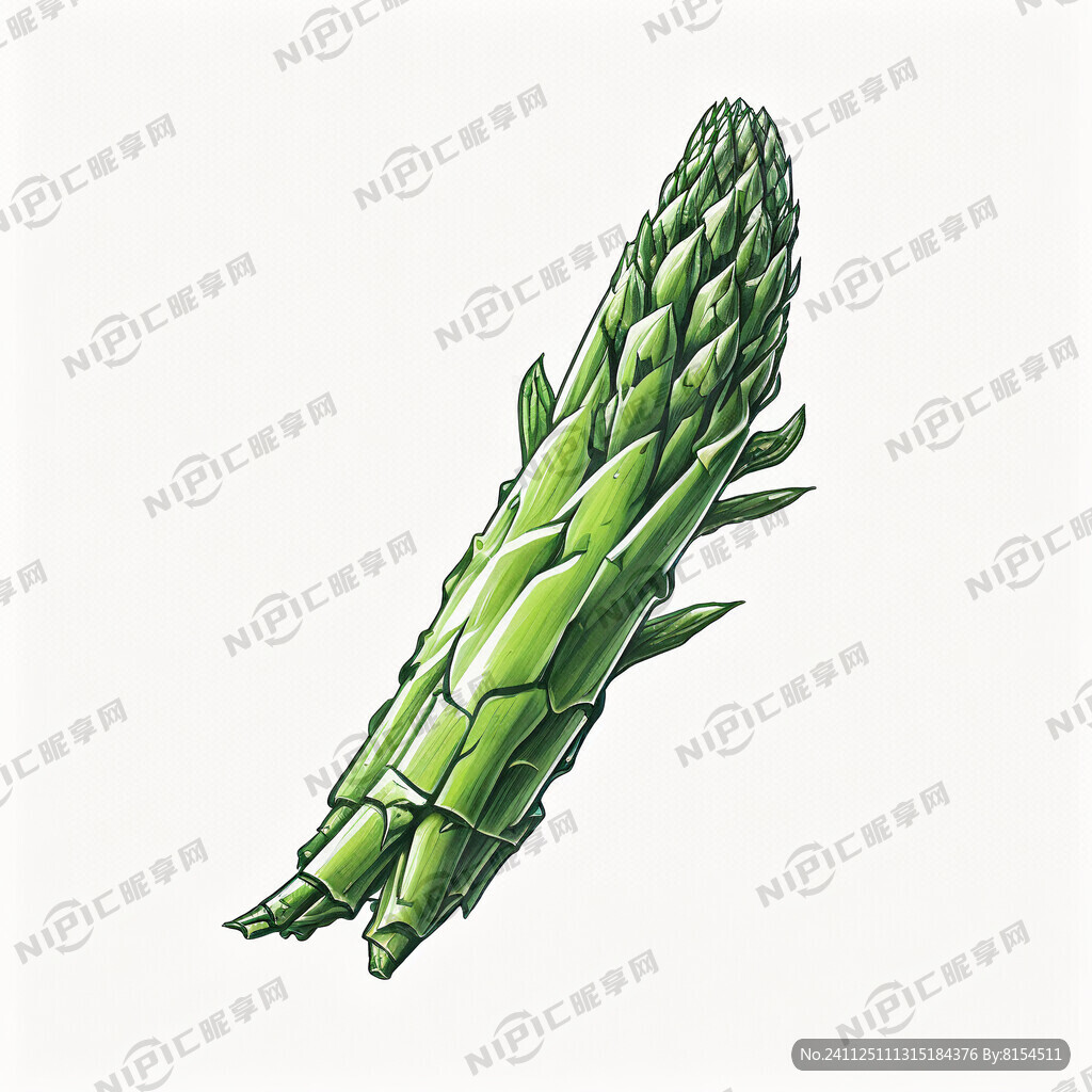 芦笋卡通画图形