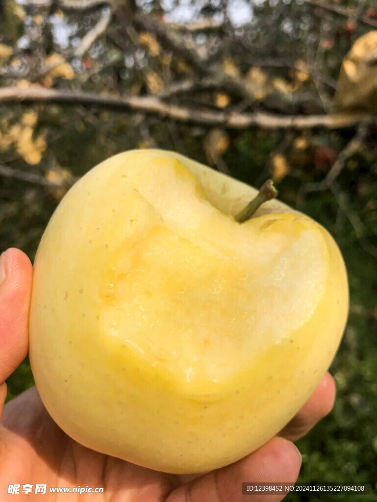 苹果