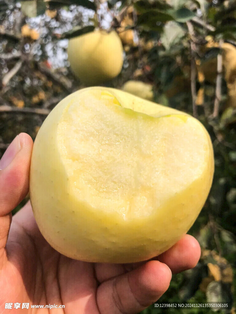 苹果