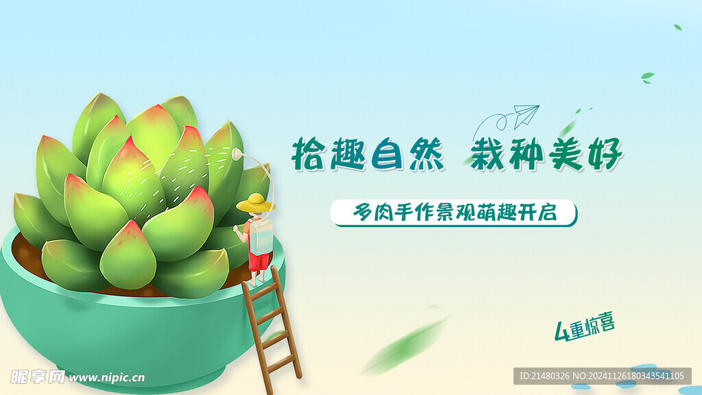多肉植物