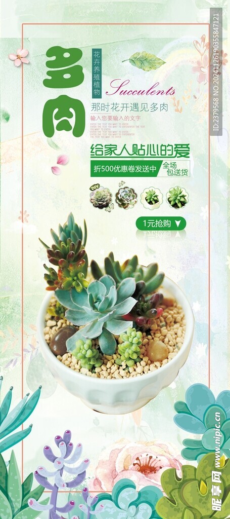  多肉植物海报