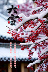 大雪