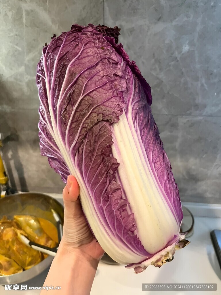 紫晶白菜