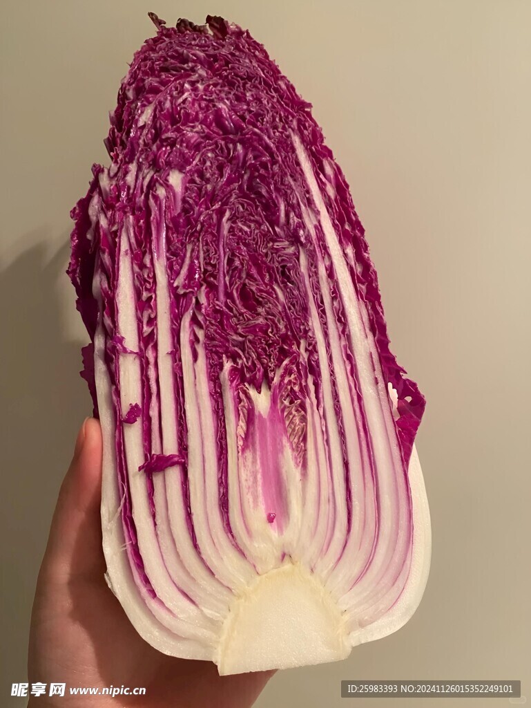 紫晶白菜