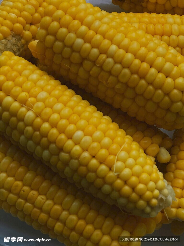 玉米 