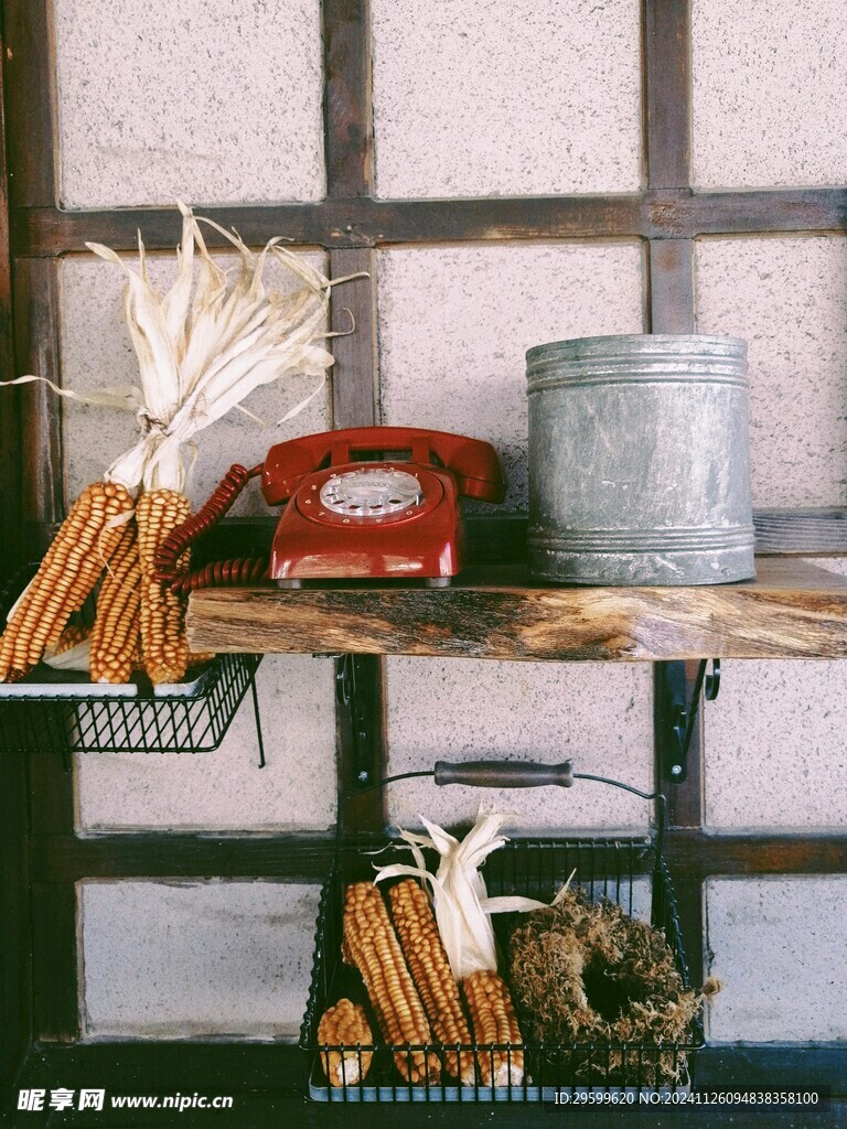玉米  
