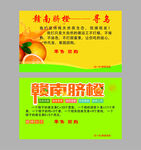 脐橙
