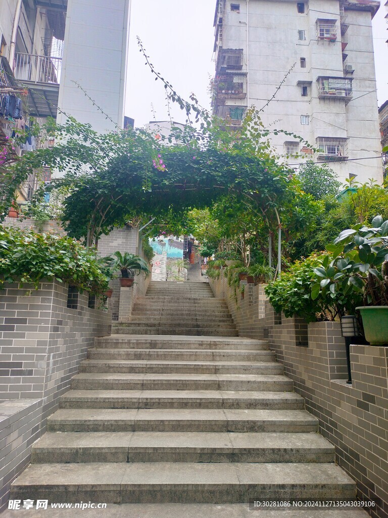 寻幽小路