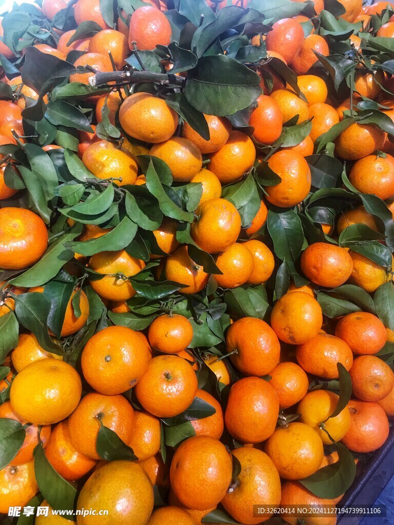 砂糖橘