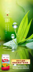 谷雨
