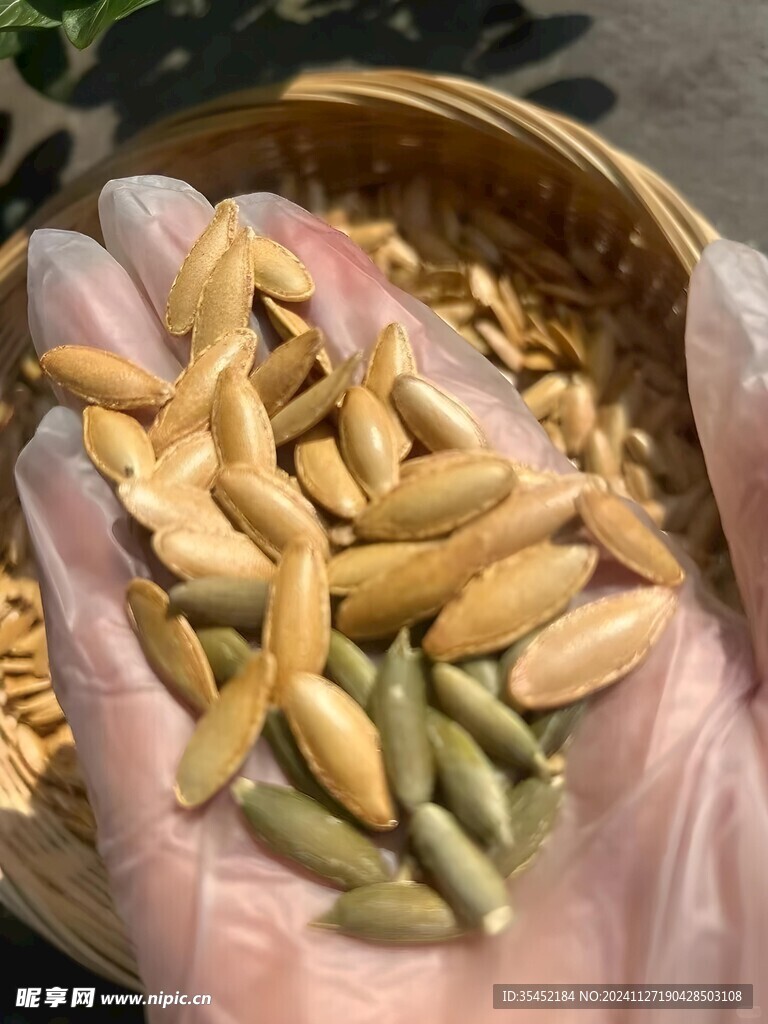 南瓜子