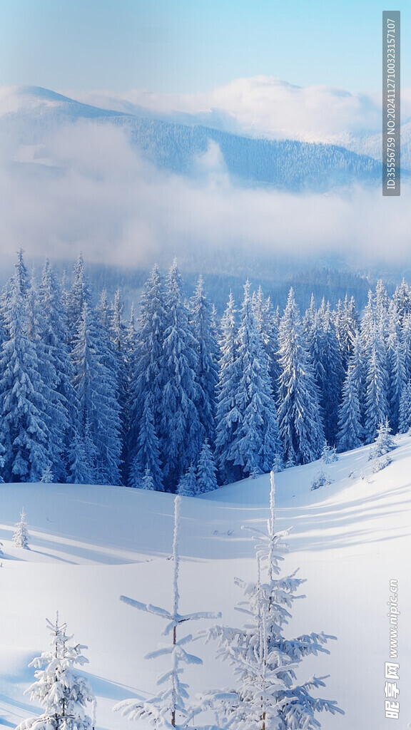 冬天雪花氛围背景