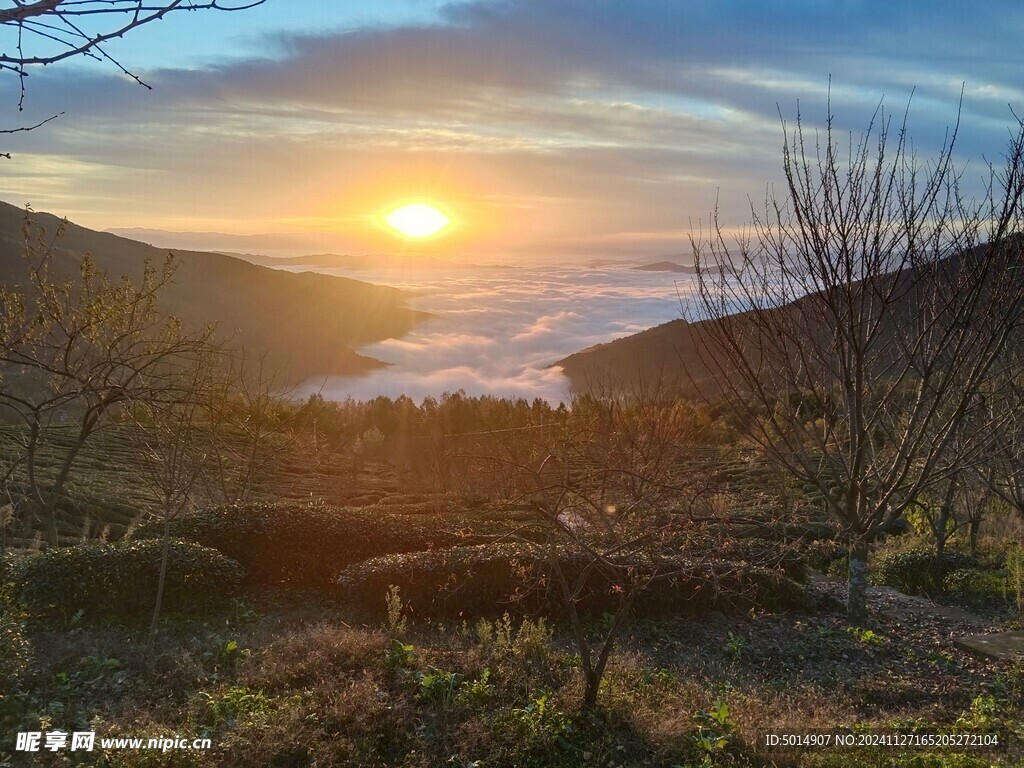 日出  云海  