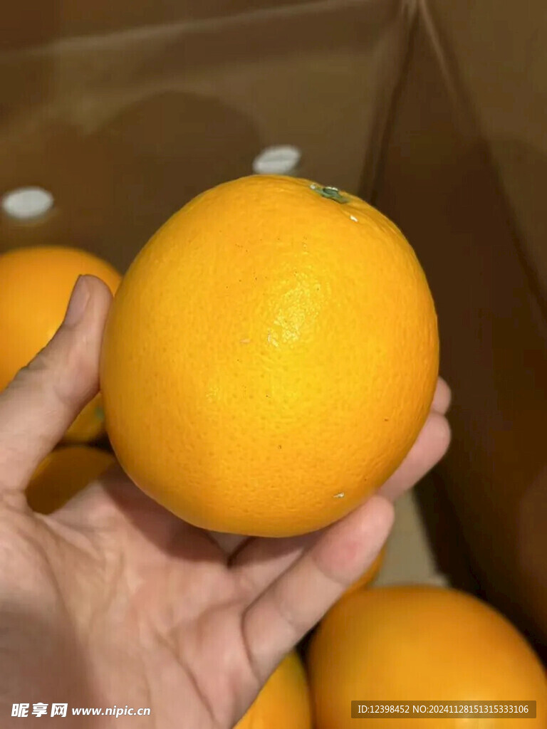 脐橙
