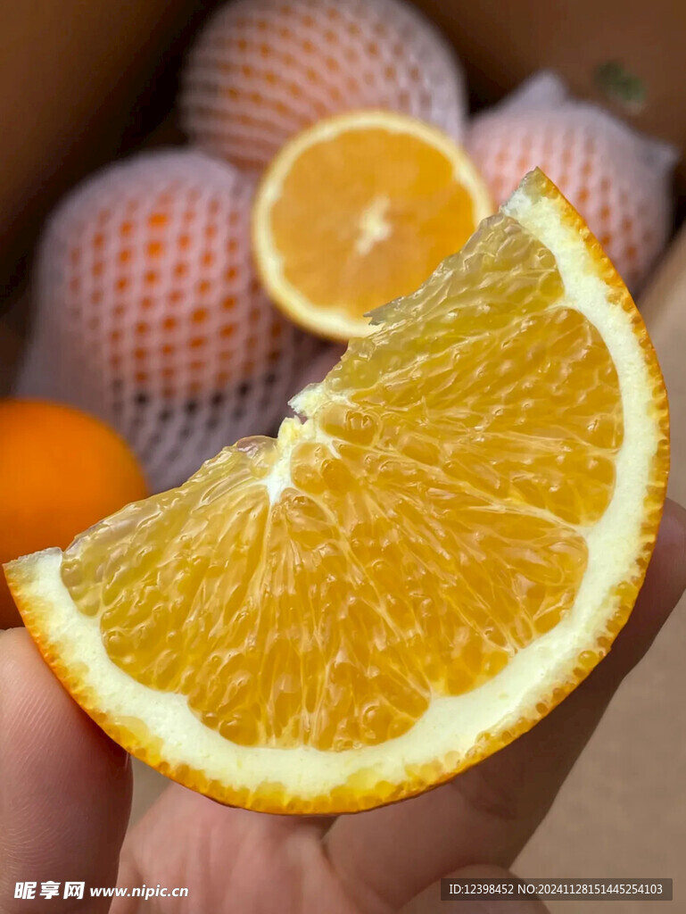 脐橙