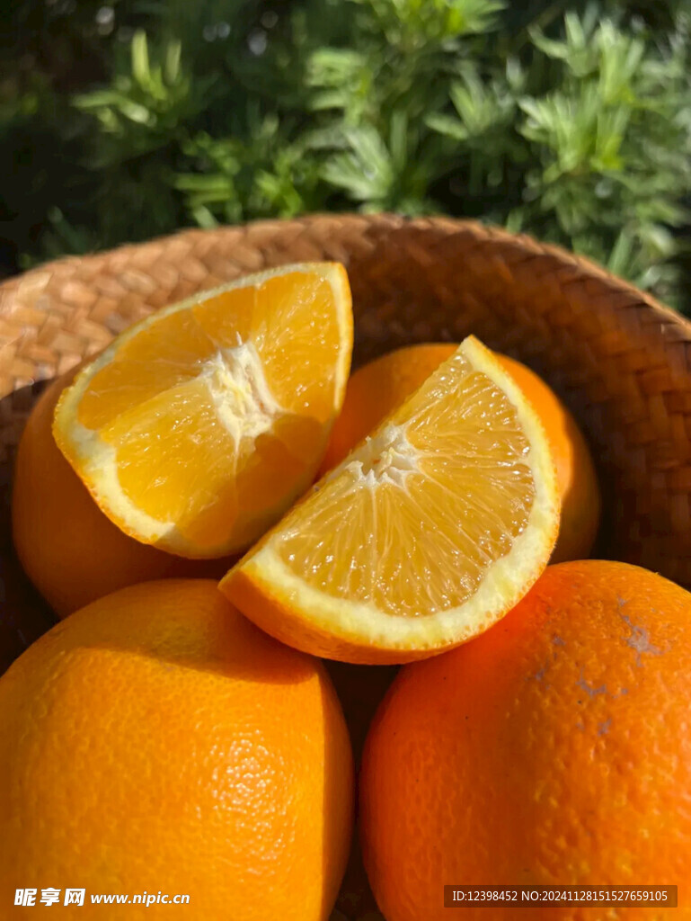 脐橙