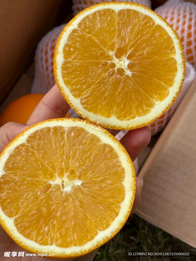 脐橙