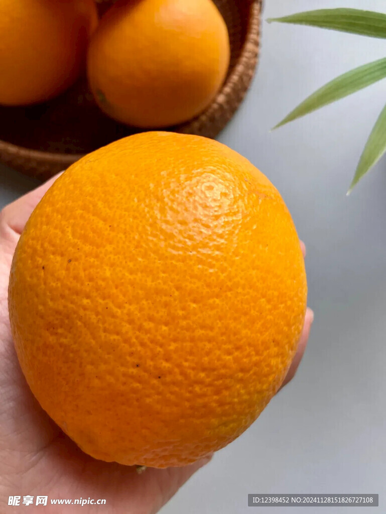 脐橙