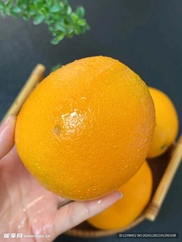 脐橙