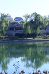 公园风景  