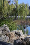 公园风景  