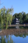 公园风景  