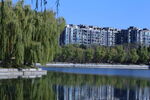 公园风景 