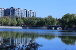 公园风景  