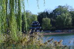 公园风景  